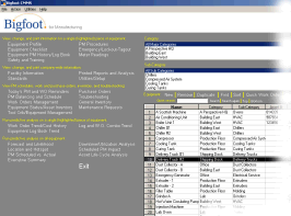 Bigfoot CMMS Console